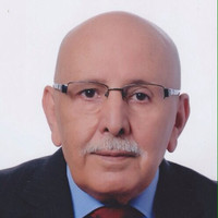 Alaa Albeiruti