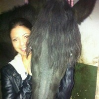 Silka Bayi Temsilcisi