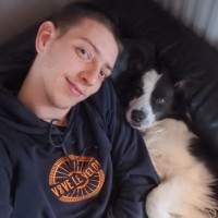 Daan Krols