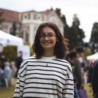 Elif Toklucu