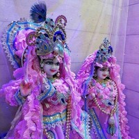 Aman Gupta