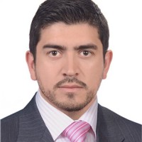 Julio Cesar Navarrete Peñuela