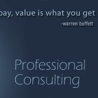 Business Consultant
