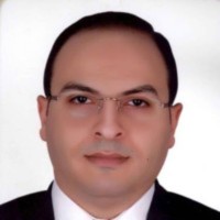 Waleed Mostafa Ali