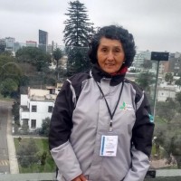 MERCEDES VEGA HUERTA