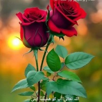 Jawed Ahmed