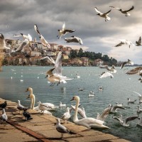 TERRESTRIAL CONSTRUCTION IDEAS -TCI