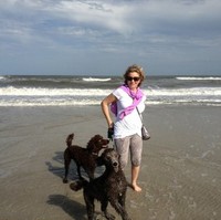 Carol J Murphy