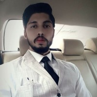 Muhammad Hamza Jamil