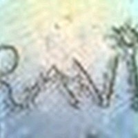 Ravi Shah