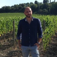 MARIO FEDOLFI