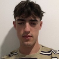 Theo Wolf