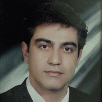 Mehrdad Vakilian