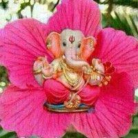 Rajesh Patil