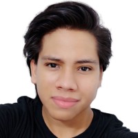 Sebastian David Carrillo Hernandez