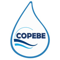 EQUIPO DE MARKETING - COPEBE SAC
