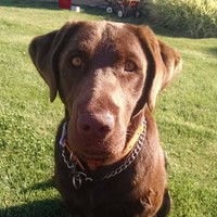 Eric Lindstrand