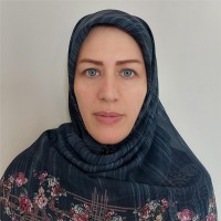 azam haghighi