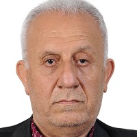 Seyedhassan Saneii