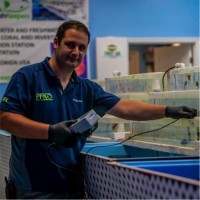 Daniel Nestorio