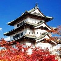 刘慧霞