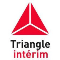 Triangle Solution Rh Metz