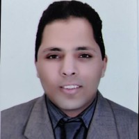 Mohamed Amer