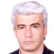 Sina Shokri