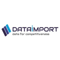 DataImport Consultoria