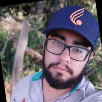 Leandro Santos Borges Gomes