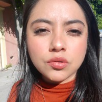 Ana Laura Pérez Arvizu