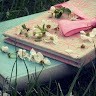 Yomna H