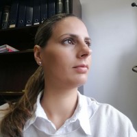 Sonia Vallejo Fernandez