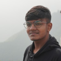 Raj Raushan