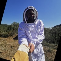 Julien PEREZ 🐝🌍👨🚀