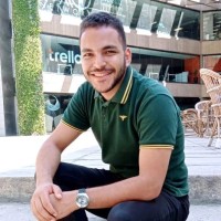 Youssef Elshanawany