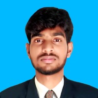 Naveenkumar P