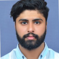 mohammed ramzy