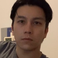 Long H Chau