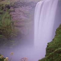 Test Test