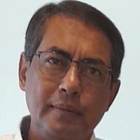 Santanu Pal Roy