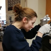 Kallie Neumann (Hilsabeck)
