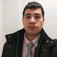Hans Wladimir Alegria Bravo