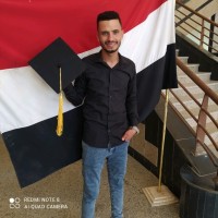 عادل محمد