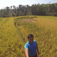 Hendra Hendra