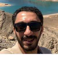 Shady Abouelalaa