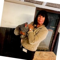 Brigitte Bussink