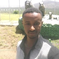 Ephrem Shibeshi