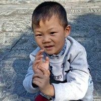 柳庆磊