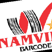 Nam Viet